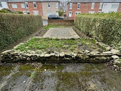 Picture 19